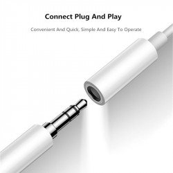 For Apple Lightning To 3 5 mm Audio Jack Adapter for Iphone Se 2020 11 2 Pro Xs Max Xr X 10 8 Plus Headphone Splitter Aux Cable