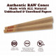 192 Cones - RAW Classic 1 1/4 Cones Authentic Pre-Rolled Cones w/ Filter